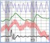 tucson polygraph examinations at AffordablePolygraph.com